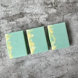 Rosemary Mint Soap Bar