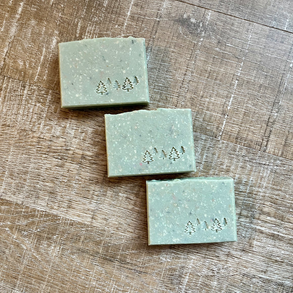 Home for the Holidays Soap Bar